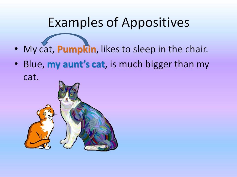 examples appositives