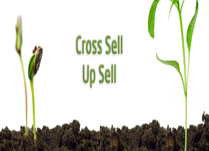 Cross_selling_and_Up_selling_are_important