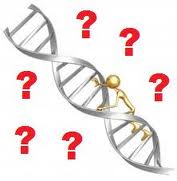 dna_research-1