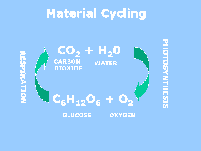 energy_material-6
