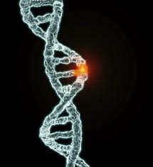 Gene Abnormalities, Genetic Disorder