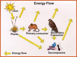 energy_flow-3