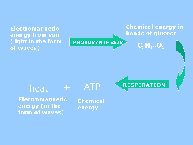 energy_material-5