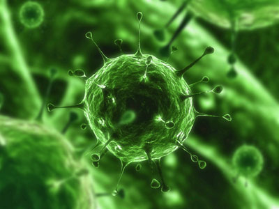 microbiologyvirus1